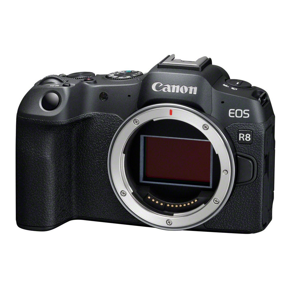 Canon EOS R8 Body